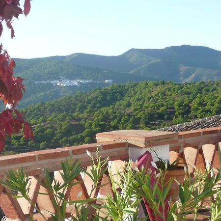 Hotel Los Castanos (Adults Only) Картахима Экстерьер фото